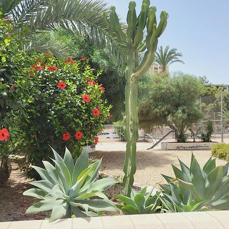 Loft Soul & Sea Appartement Aguadulce  Buitenkant foto