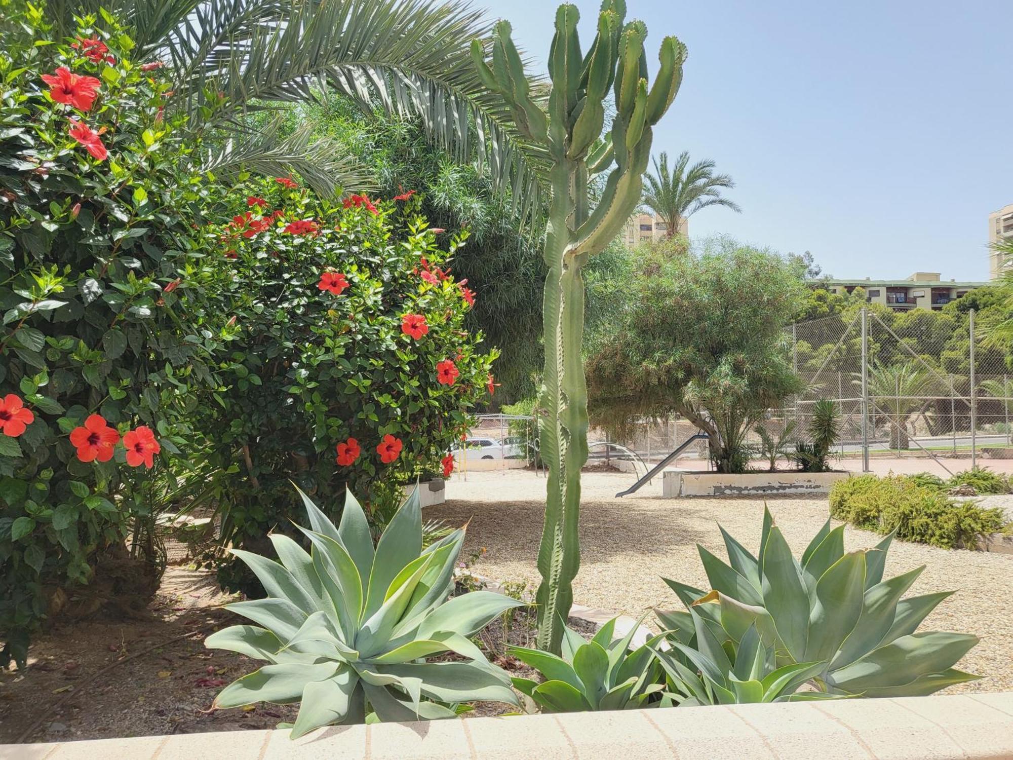 Loft Soul & Sea Appartement Aguadulce  Buitenkant foto